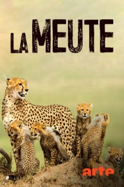 watch free La Meute Cinq guépards dans le Serengeti hd online