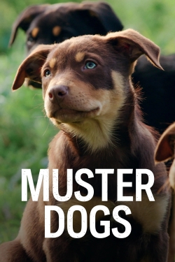 watch free Muster Dogs hd online