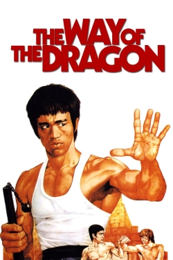 watch free The Way of the Dragon hd online