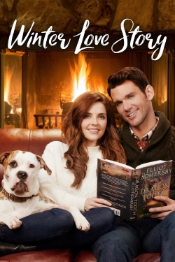 watch free Winter Love Story hd online
