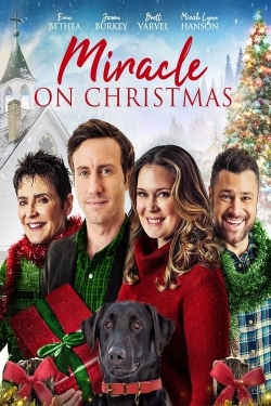 watch free Miracle on Christmas hd online