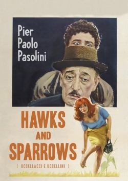 watch free Hawks and Sparrows hd online