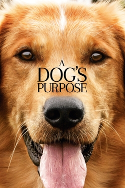 watch free A Dog's Purpose hd online
