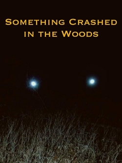 watch free Something Crashed in the Woods hd online