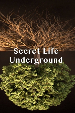 watch free Secret Life Underground hd online