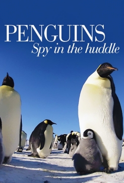 watch free Penguins: Spy in the Huddle hd online