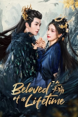 watch free Beloved of A Lifetime hd online