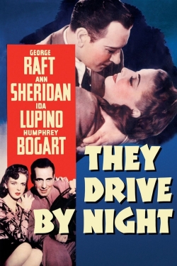 watch free They Drive by Night hd online