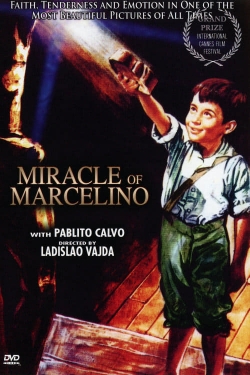 watch free The Miracle of Marcelino hd online