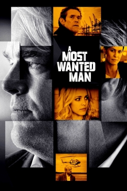 watch free A Most Wanted Man hd online