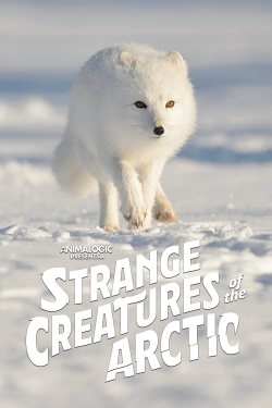 watch free Strange Creatures of the Arctic hd online