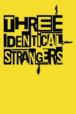 watch free Three Identical Strangers hd online