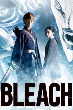 watch free Bleach hd online