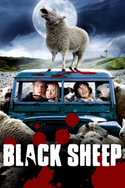 watch free Black Sheep hd online