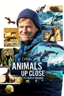 watch free Animals Up Close with Bertie Gregory hd online