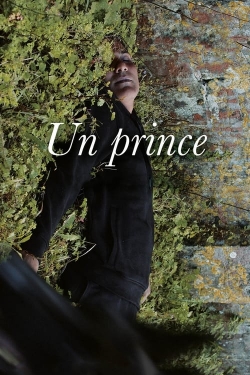 watch free A Prince hd online