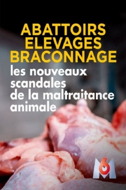 watch free Abattoirs, élevages, braconnage, les nouveaux scandales de la maltraitance animale hd online