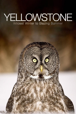 watch free Yellowstone: Wildest Winter to Blazing Summer hd online