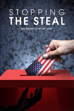 watch free Stopping the Steal hd online