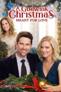 watch free A Godwink Christmas: Meant For Love hd online