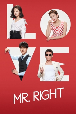 watch free Mr. Right hd online