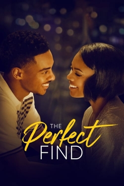 watch free The Perfect Find hd online