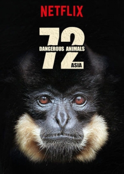 watch free 72 Dangerous Animals: Asia hd online