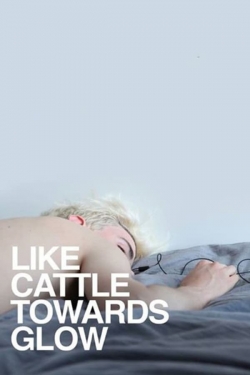 watch free Like Cattle Towards Glow hd online