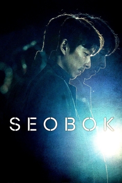 watch free Seobok hd online