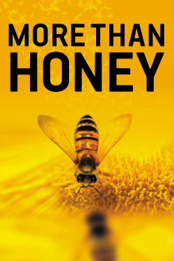 watch free More Than Honey hd online