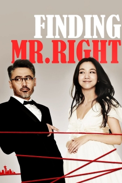 watch free Finding Mr. Right hd online