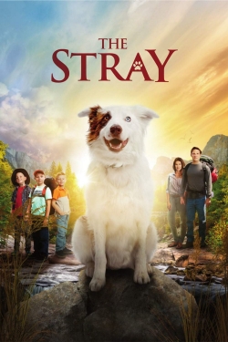 watch free The Stray hd online