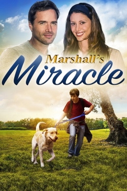 watch free Marshall's Miracle hd online