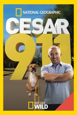 watch free Cesar 911 hd online