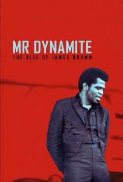 watch free Mr. Dynamite - The Rise of James Brown hd online