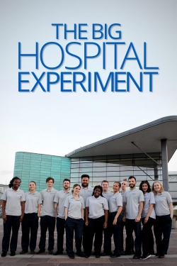 watch free The Big Hospital Experiment hd online