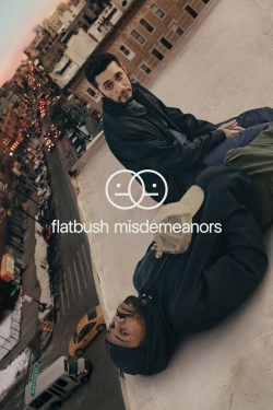 watch free Flatbush Misdemeanors hd online