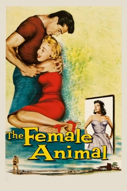 watch free The Female Animal hd online