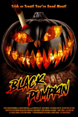 watch free Black Pumpkin hd online