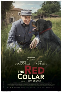 watch free The Red Collar hd online