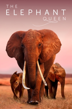 watch free The Elephant Queen hd online