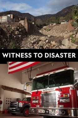 watch free Witness to Disaster hd online