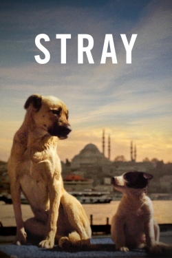 watch free Stray hd online