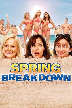 watch free Spring Breakdown hd online