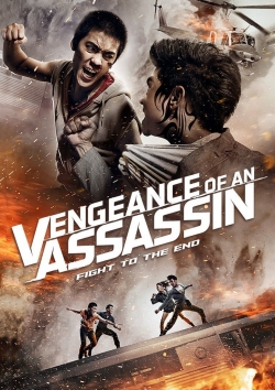 watch free Vengeance of an Assassin hd online