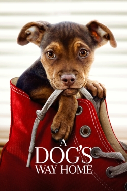 watch free A Dog's Way Home hd online