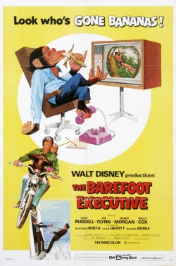 watch free The Barefoot Executive hd online