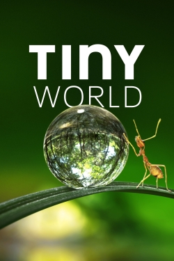 watch free Tiny World hd online