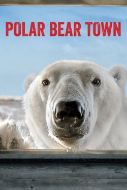 watch free Polar Bear Town hd online