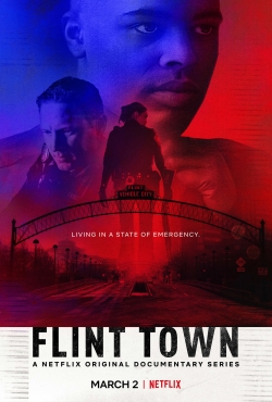 watch free Flint Town hd online